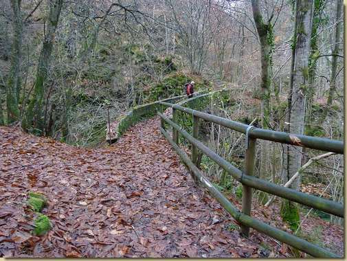 il ponte sul Rio di Crealla
