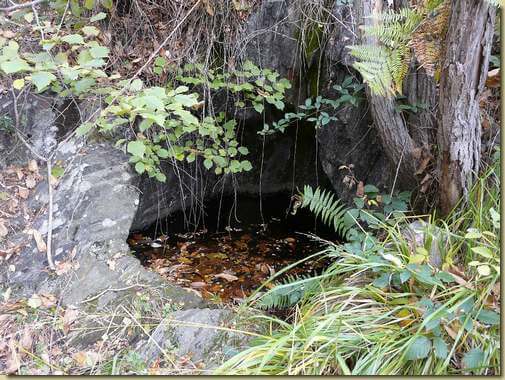  la sorgente dell'Alpe Rusc&agrave; 