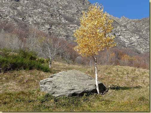 autunno a la Piana... 