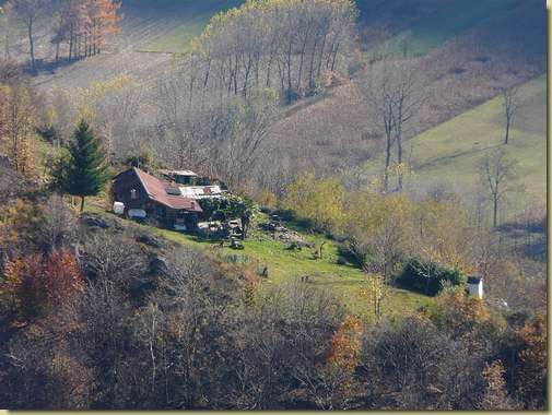 Sciarina [teleobiettivo] 
