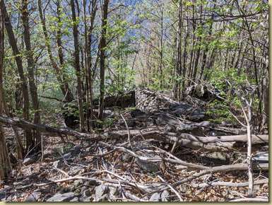 Alpe senza nome presso le giavine...