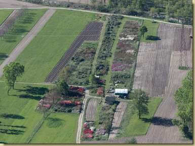 la piana Ossolana...