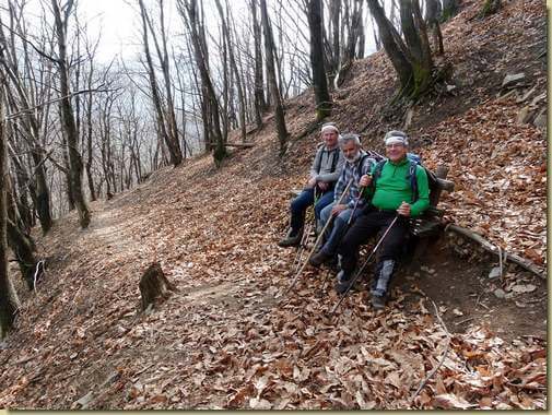 pensionati sulla panchina nel bosco...