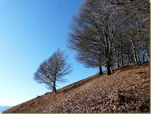 verso il Fai&egrave; 