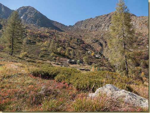 autunno a C&agrave; di Gubitt (Alpe Gian Pistùi...)