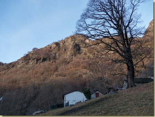 Alpe La Piana, in alto la crestina da raggiungere...