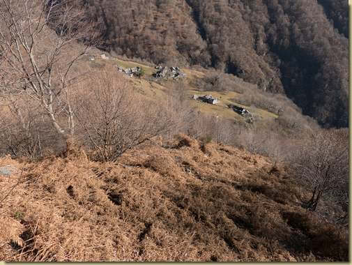 risalendo tra le felci...