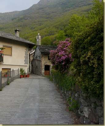 a Colloro...
