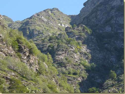 al centro la zona dei Balmaliui...