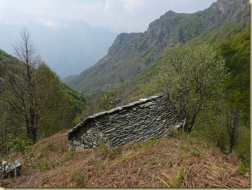 panorama dall'Alpe La Balma