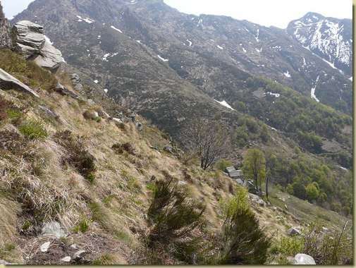ritorno all'Alpe Stavelli