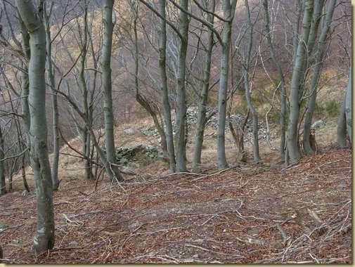 i ruderi dell'Alpe Pianezza...