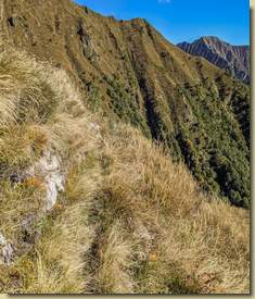 il vecchio sentiero che traversava dall'Alpe Basagrana alla Costa Torriggia...