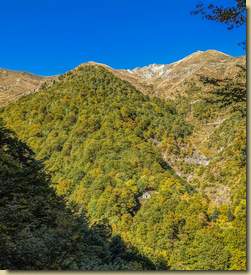 si vede l'Alpe Burchi al sole sul versante opposto...