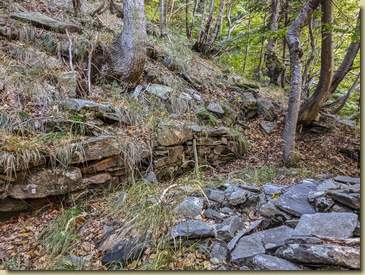 all'Alpe Basagrana Vegia...