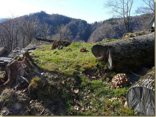 chiodini a Steppio... 