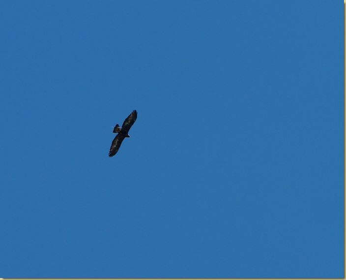 nel cielo di Vallard...