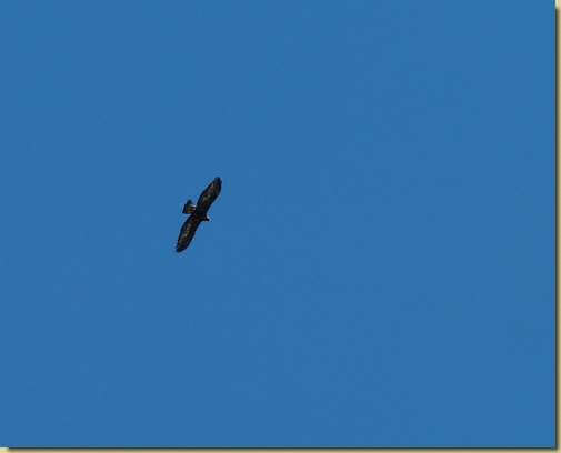 nel cielo di Vallard...