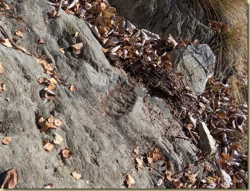 tacca poggiapiedi...