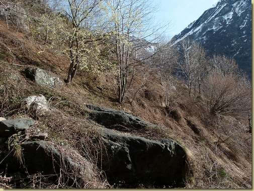 cercando il sentiero tra i rovi...