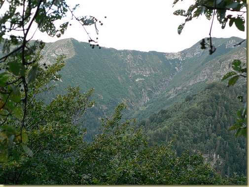 la Valle di Locc (scendendo dal Mottac verso l'Alpe Casarolo) 