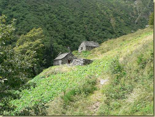 Alpe Locc di Sotto - a sinistra la baita del Corpo Forestale 
