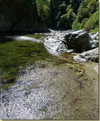 al Lancone di Valfredda...