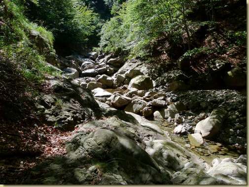 il Rio della Val Serena...