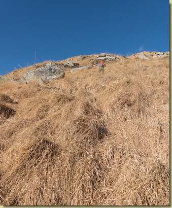 paglione in salita...