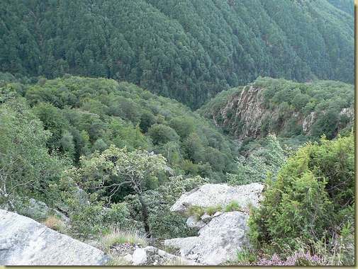 verso il Rio di Menta...