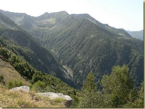 La Valle del Rio di Menta