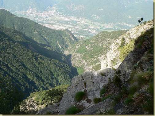 la bassa Valle del Rio di Menta