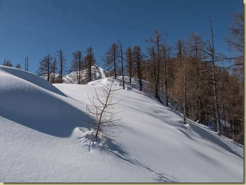 salendo la dorsale immacolata...