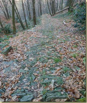 sulla mulattiera per Bieno...