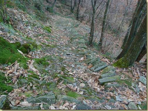 sulla mulattiera per Bieno...