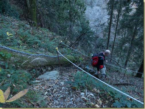 il nuovo sentiero...