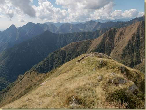 la dorsale di Muschia...