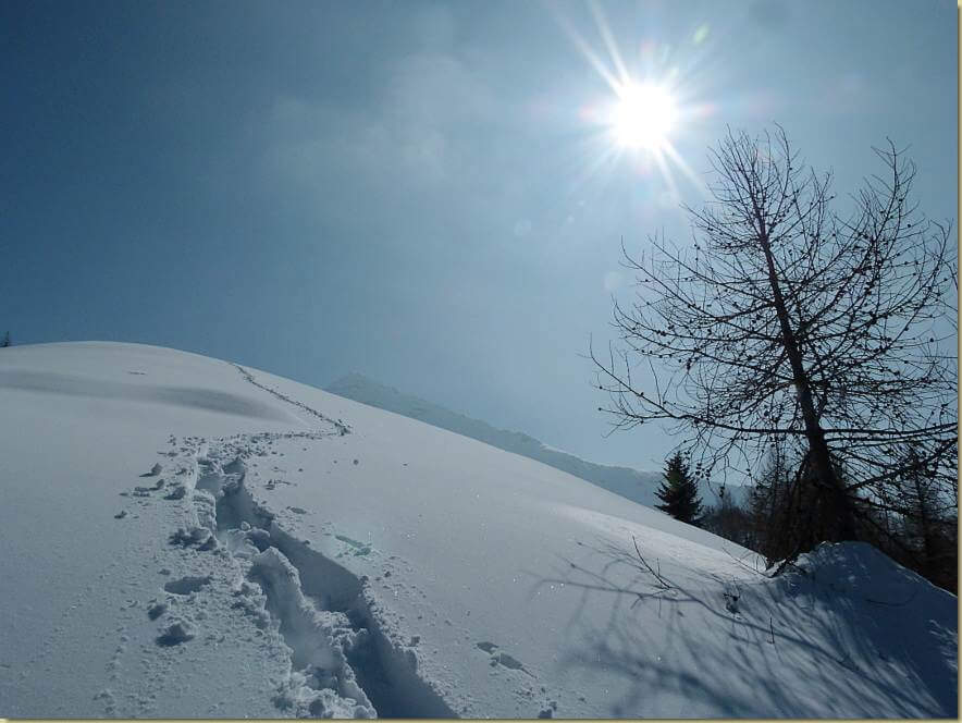 scendendo dall'Alpe Noccola...