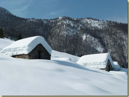 in alto la dorsale dell'Alpe Drisioni...