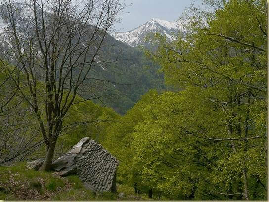 a Nancino di sotto...