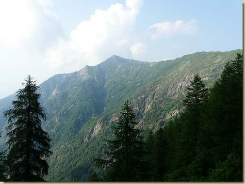 Valle dell'Ogliana 