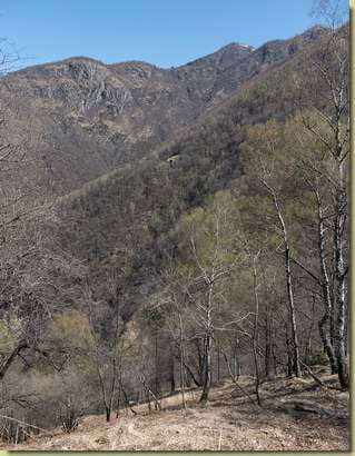 uscita su terreno più "tranquillo"...