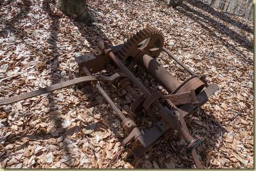 disperso nel bosco...