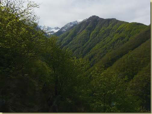 Valle dell'Ogliana 
