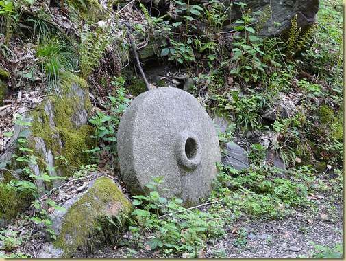 macina...