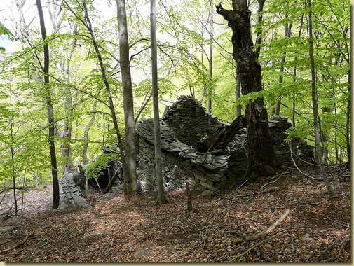 Alpe il Mott 