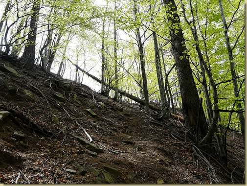 arrivo sulla dorsale della quota 1195 m. 