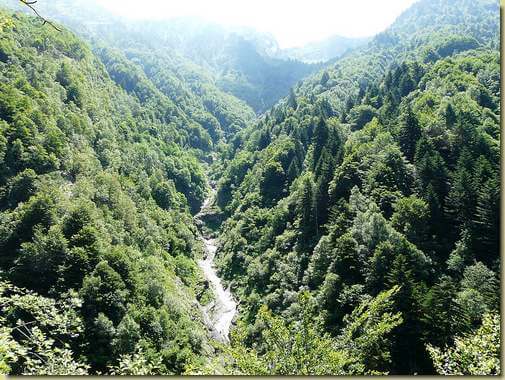 il versante che sale all'Alpe Ogliana 
