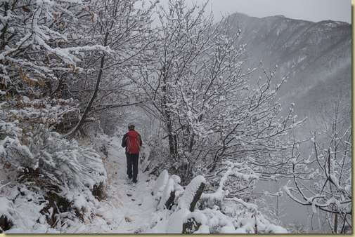 sentiero innevato...