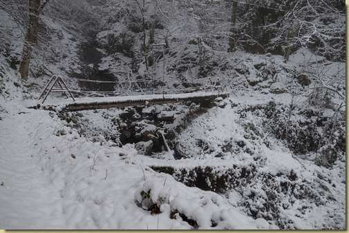 al ponte sul Rio delle Rovine...